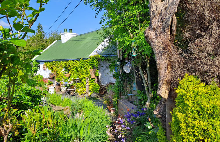 Natuurhuisje in Derrypark Cottage