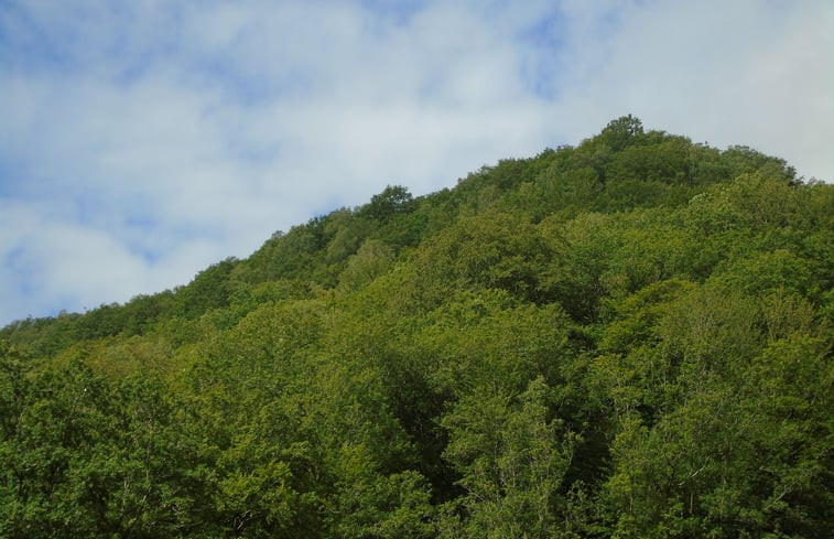 Natuurhuisje in Tournavaux