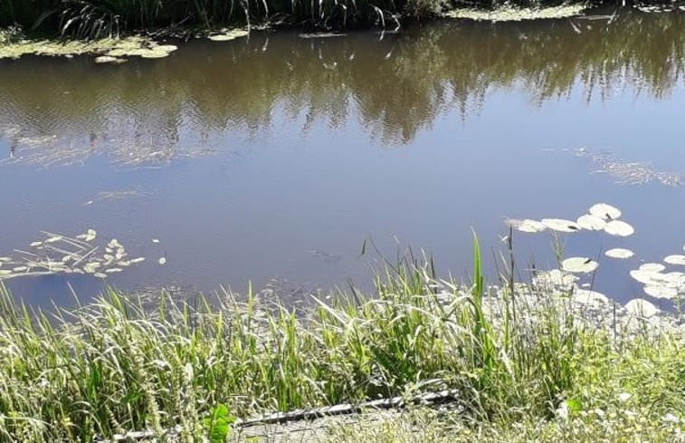 Natuurhuisje in Nieuweroord