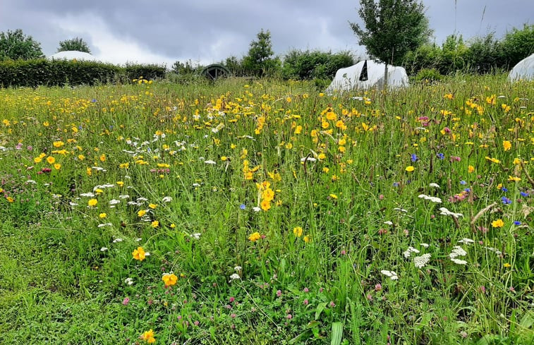 Natuurhuisje in Westouter