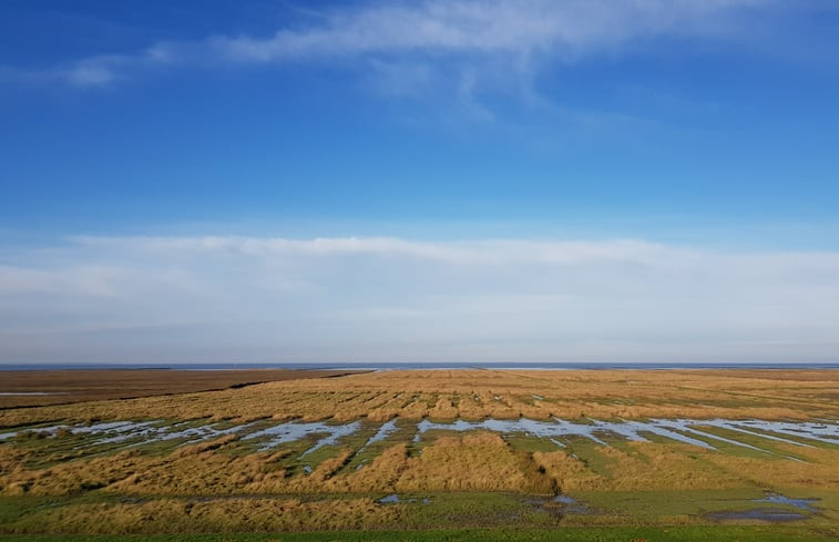 Natuurhuisje in Hornhuizen