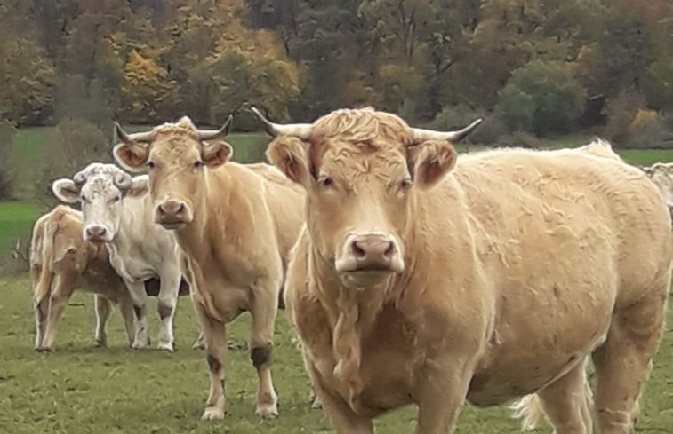 Natuurhuisje in Claudon