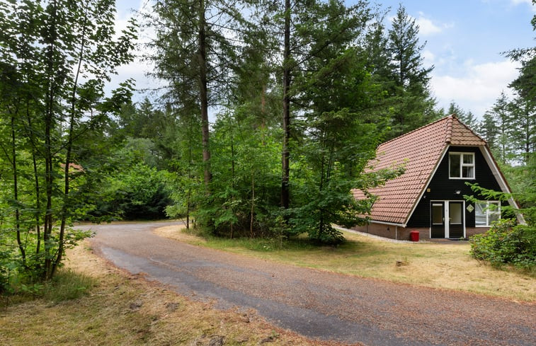 Natuurhuisje in Elspeet