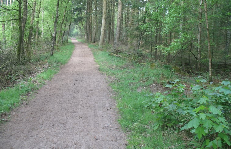 Natuurhuisje in Putten