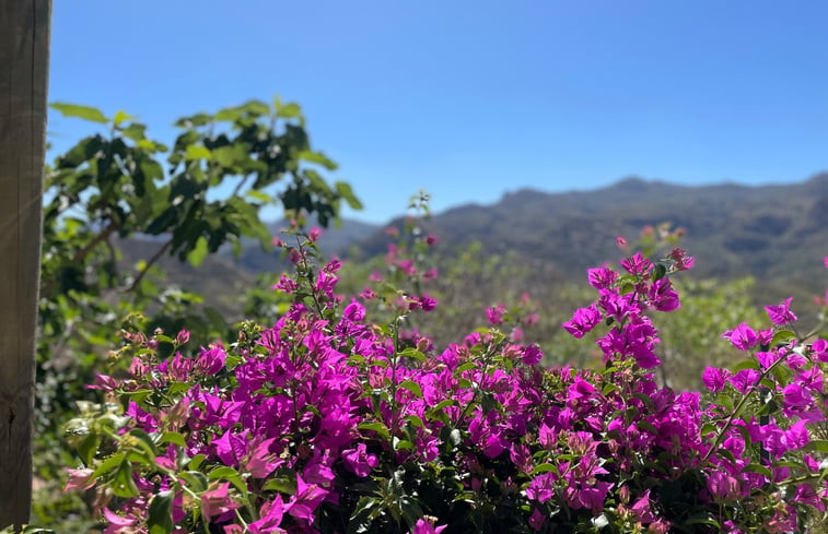 Natuurhuisje in Turre