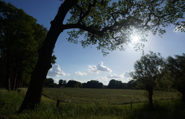 Natuurhuisje in Laren (Gld)