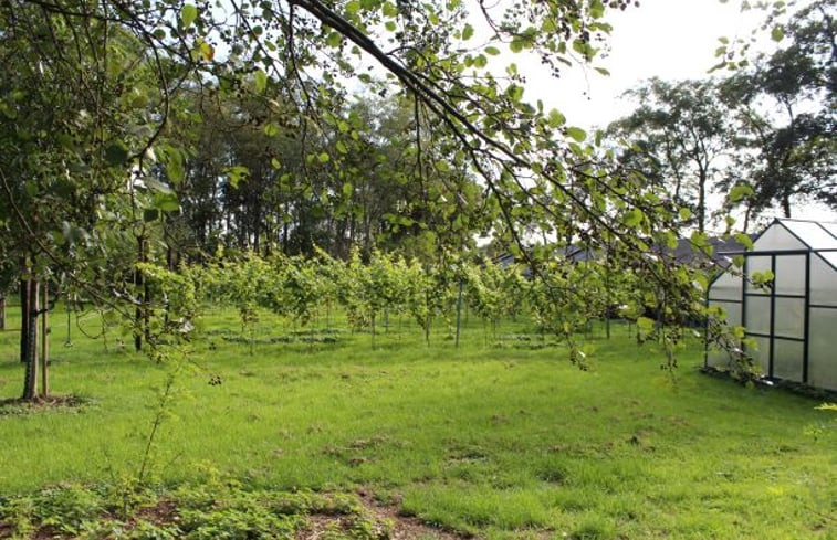 Natuurhuisje in Nietap