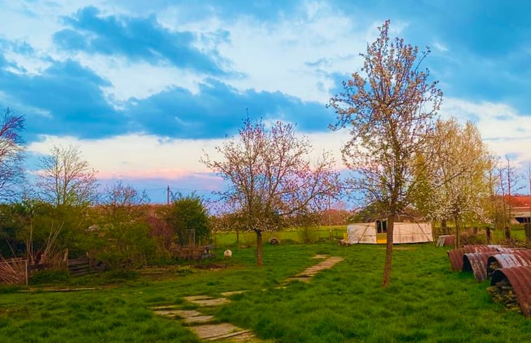 Natuurhuisje in Kapelle-op-den-Bos