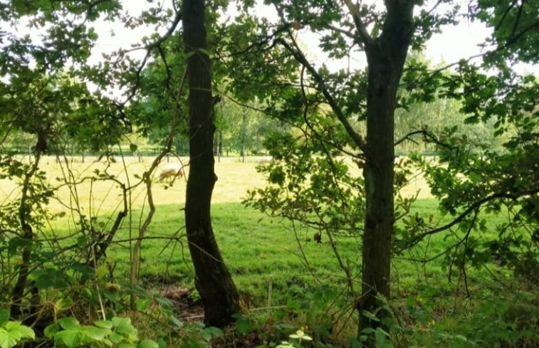 Natuurhuisje in Kollumerzwaag