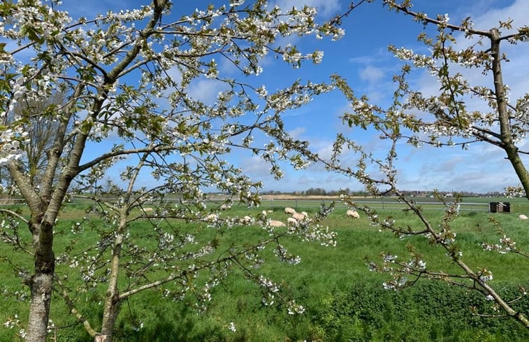 Natuurhuisje in Schagen