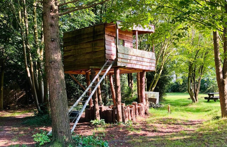 Natuurhuisje in Nijensleek / Frederiksoord