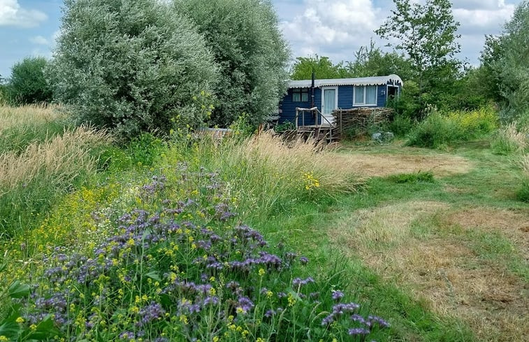 Natuurhuisje in Zarren