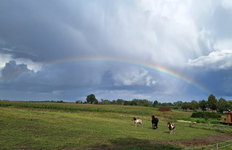 Natuurhuisje in Dobiegniew