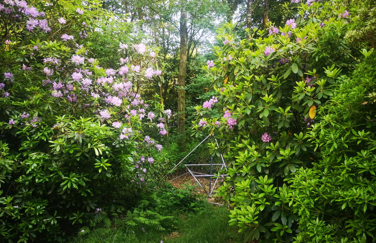 Natuurhuisje in Oignies en Thiérache