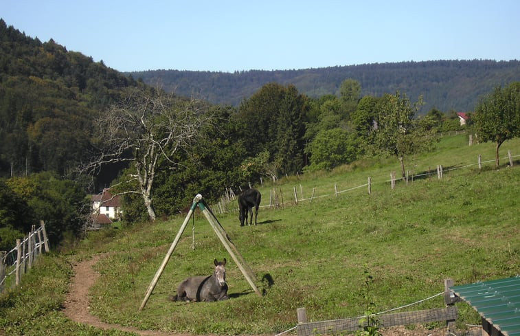 Natuurhuisje in Le Val d&apos;Ajol