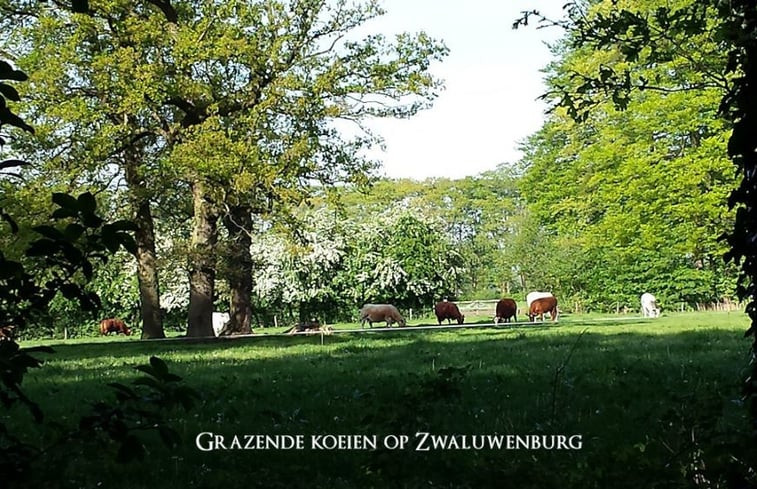 Natuurhuisje in Oldebroek