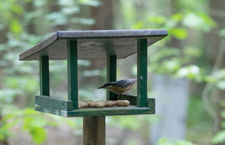 Natuurhuisje in Voorthuizen