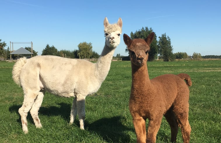 Natuurhuisje in Alphen aan den Rijn