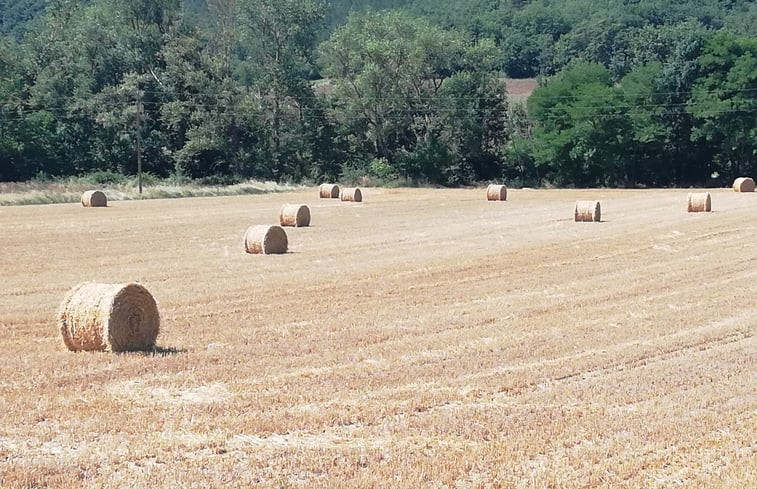 Natuurhuisje in Saint-Benoit