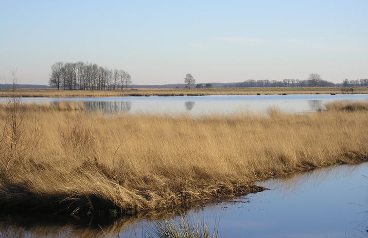 Natuurhuisje in Dwingeloo / Lhee