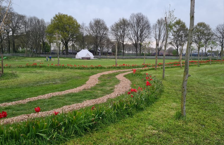 Natuurhuisje in Erp