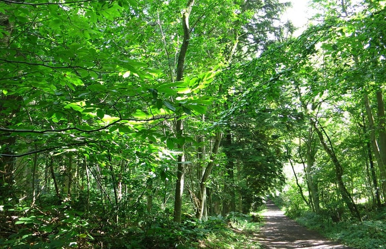 Natuurhuisje in La Roche