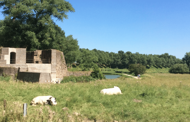 Natuurhuisje in Sluis