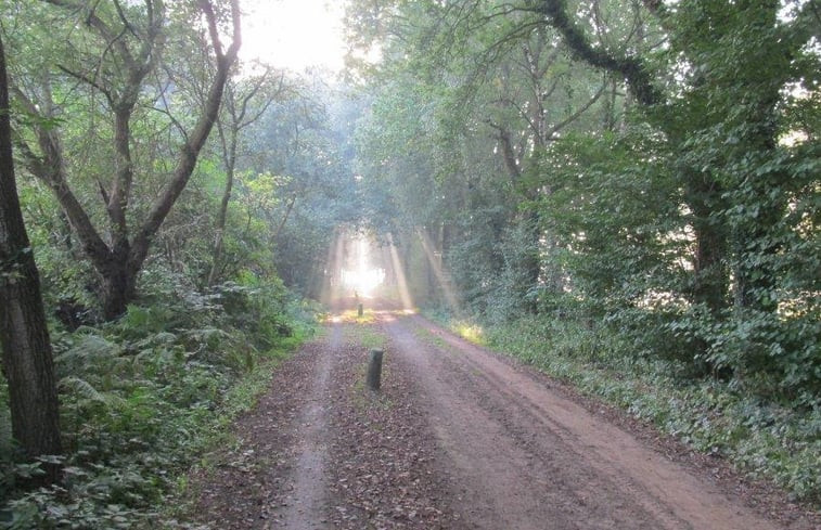 Natuurhuisje in Vorden