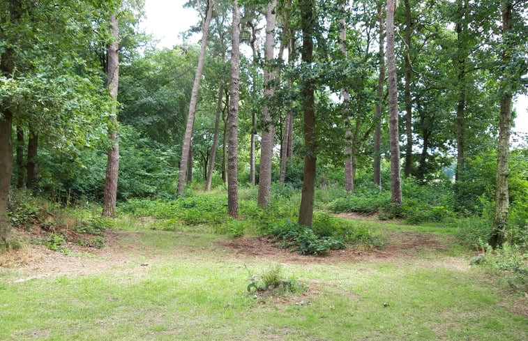 Natuurhuisje in Ommen