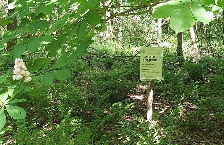 Natuurhuisje in Rutten