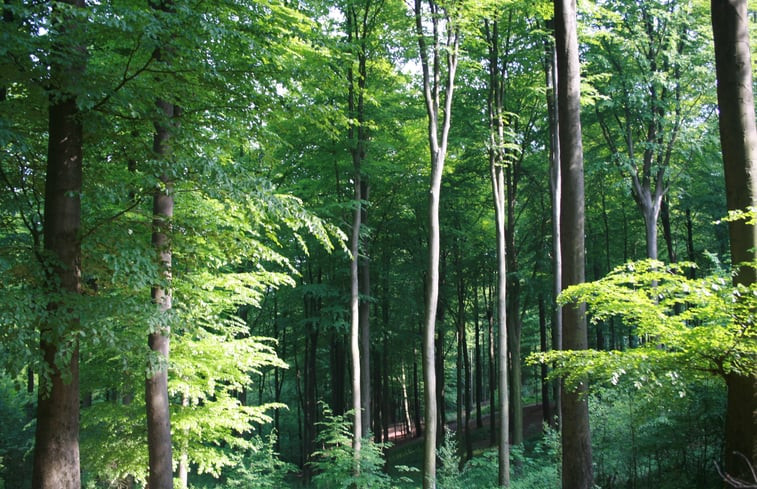 Natuurhuisje in Elzele