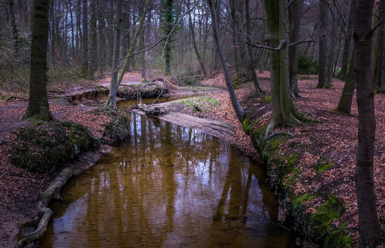 Natuurhuisje in Winterswijk