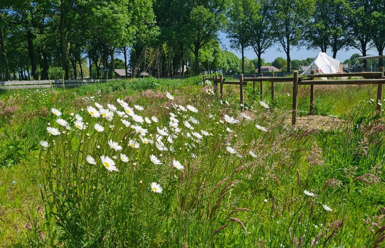 Natuurhuisje in Erp