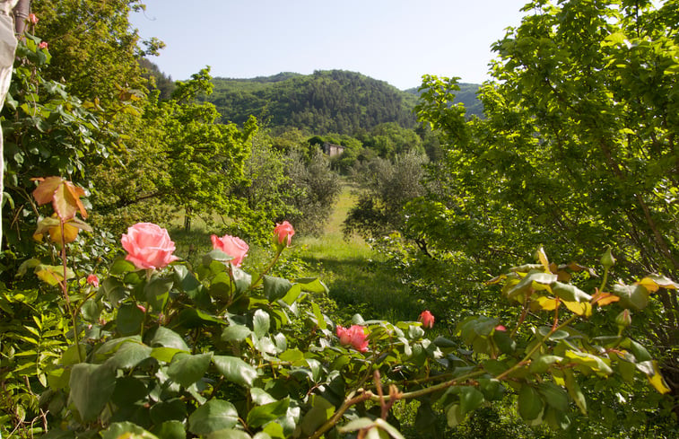 Natuurhuisje in Canavaccio