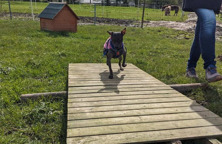 Natuurhuisje in Smeerebbe Vloerzegem