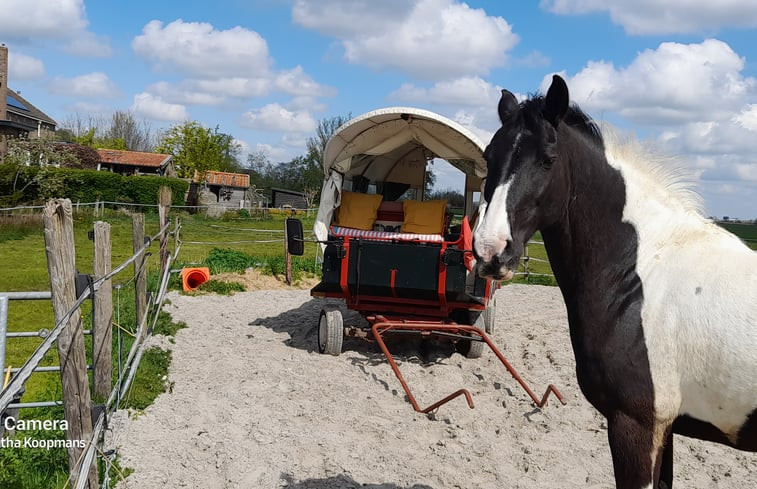 Natuurhuisje in Hommerts