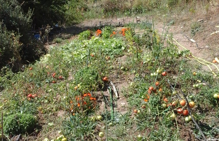 Natuurhuisje in Trikala Korinthias