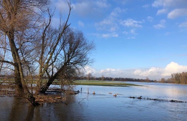 Natuurhuisje in Beneden Leeuwen