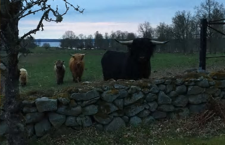 Natuurhuisje in tingsryd