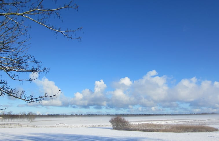 Natuurhuisje in Den Hoorn