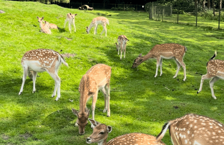 Natuurhuisje in Bellingwolde