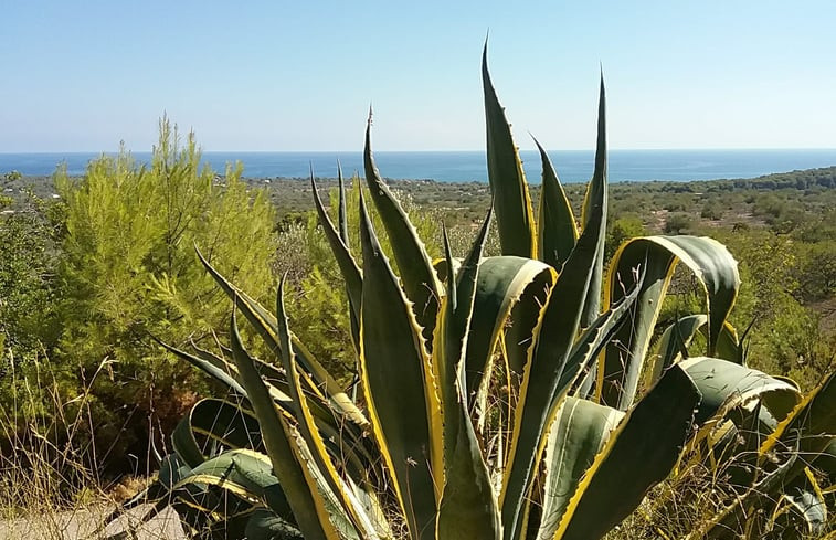 Natuurhuisje in El Perello