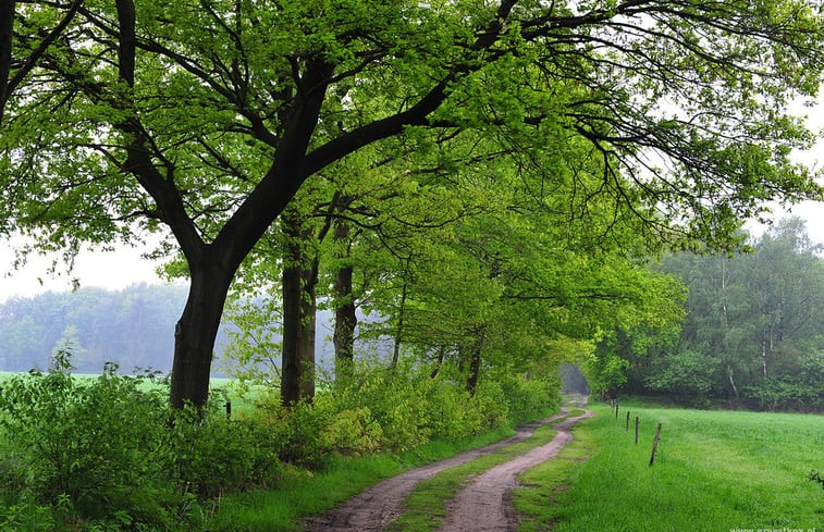 Natuurhuisje in Hapert