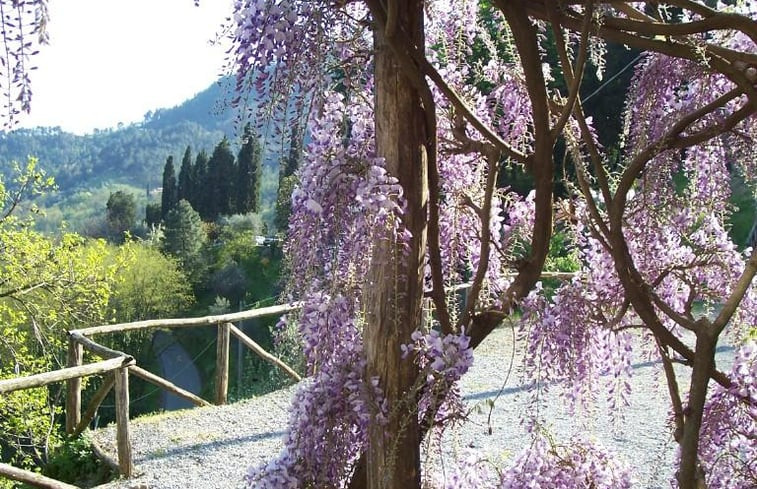 Natuurhuisje in Pietrabuona