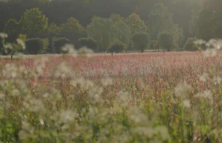 Natuurhuisje in Warnsveld