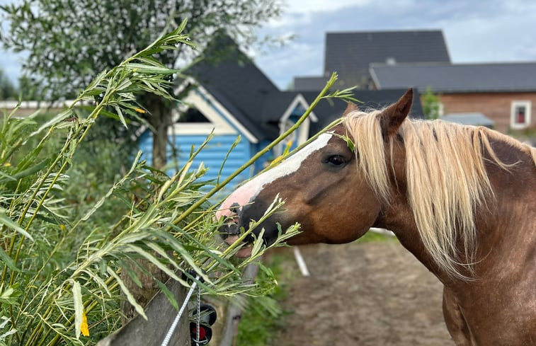 Natuurhuisje in Almere