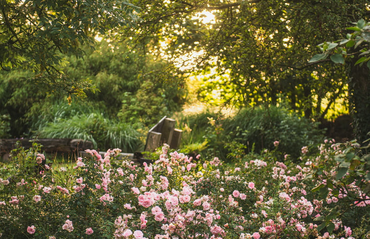 Natuurhuisje in Waskemeer