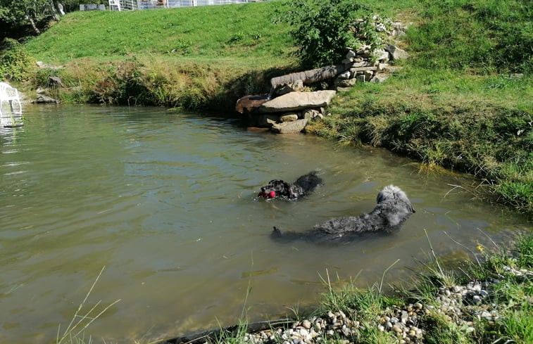 Natuurhuisje in Schöfweg