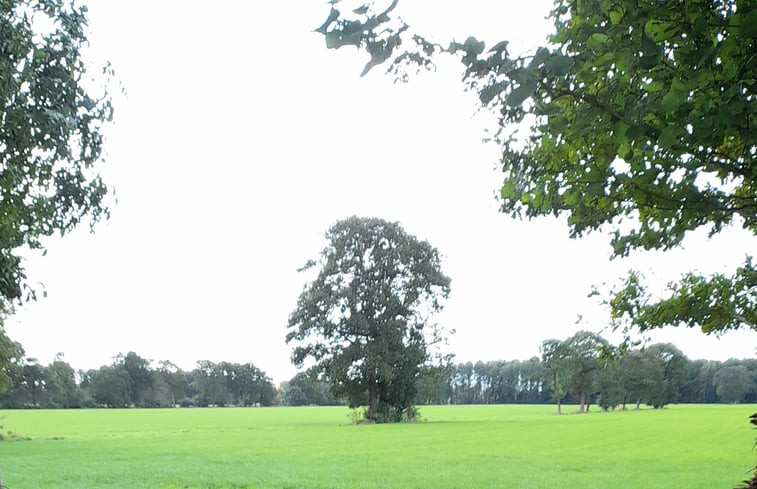 Natuurhuisje in De Wilp