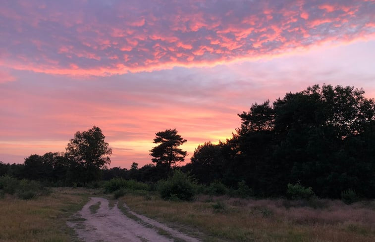 Natuurhuisje in Putten